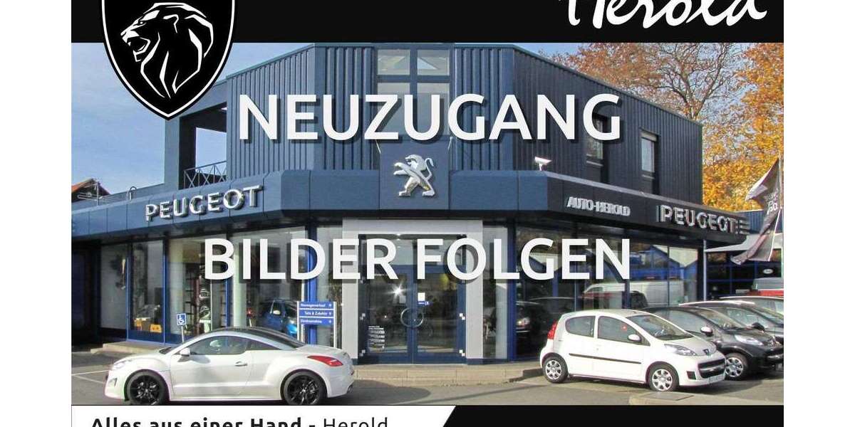 Peugeot Expert 53.250 km 20.111 &euro; Lauf 91207