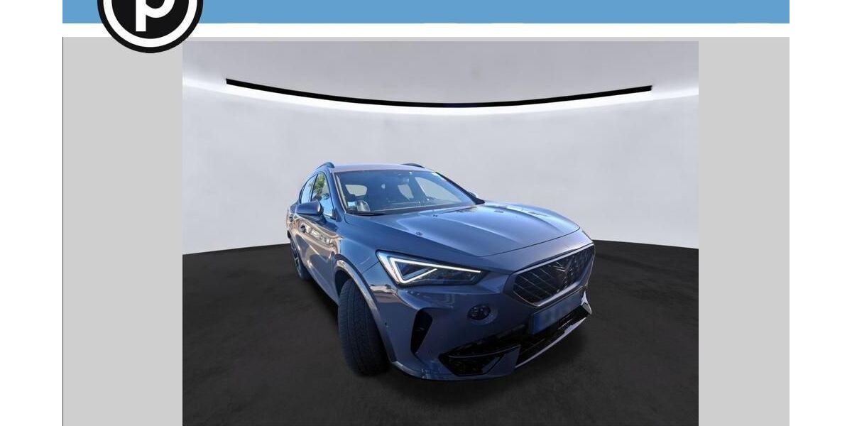 Cupra Formentor 59.150 km 24.705 &euro; Fürth 90762