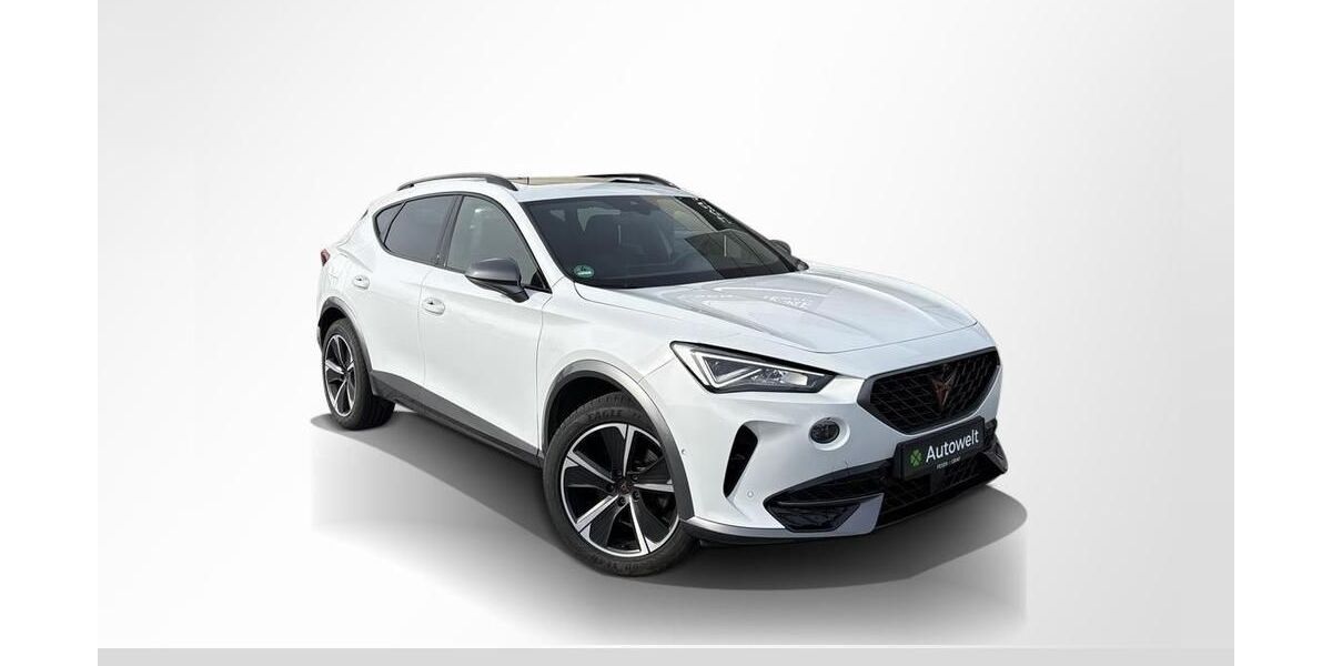 Cupra Formentor 96.500 km 21.490 &euro; Roth 91154