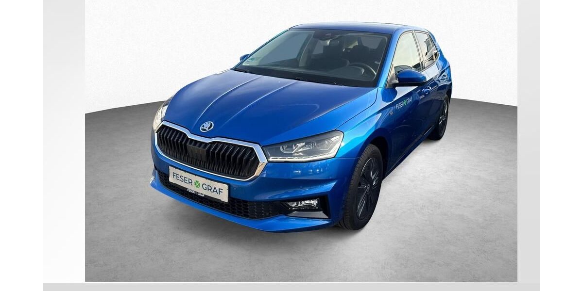 Skoda Fabia 4.900 km 19.480 &euro; Roth 91154