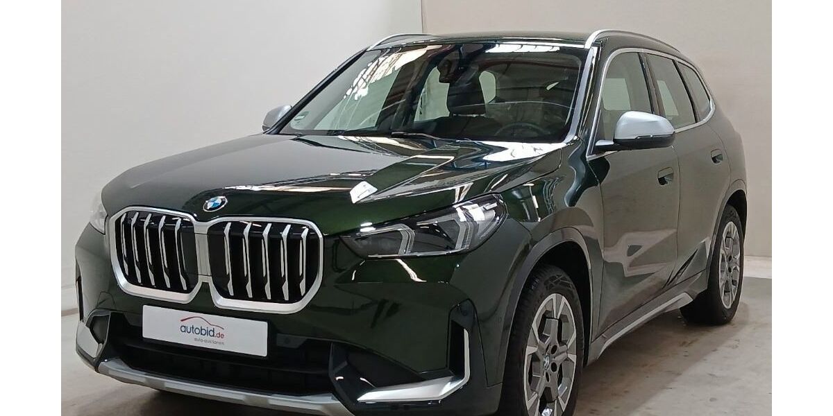 BMW X1 11.000 km 41.830 &euro; Buchschwabach bei Nürnberg 90574