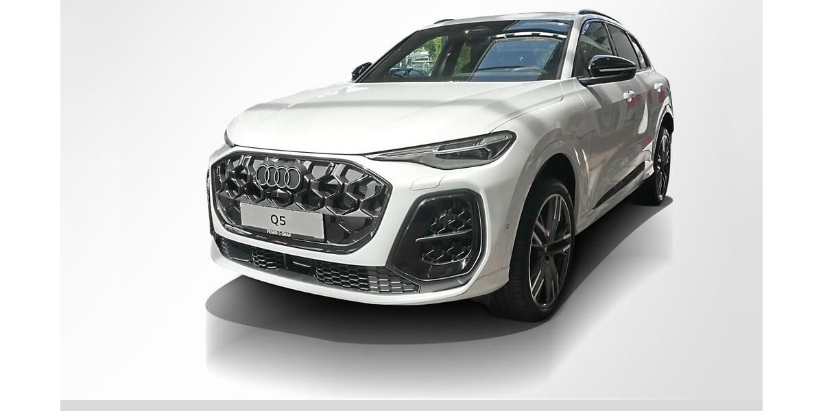 Audi SQ5 10.000 km 88.790 &euro; Erlangen 91058