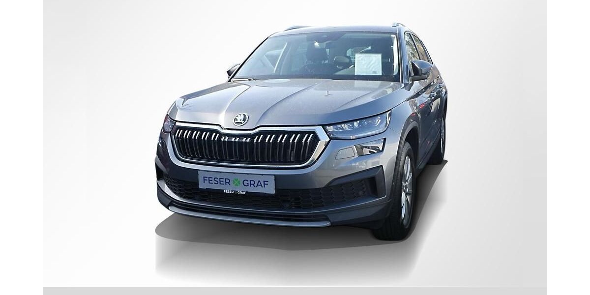 Skoda Kodiaq 76.251 km 31.904 &euro; Lauf an der Pegnitz 91207
