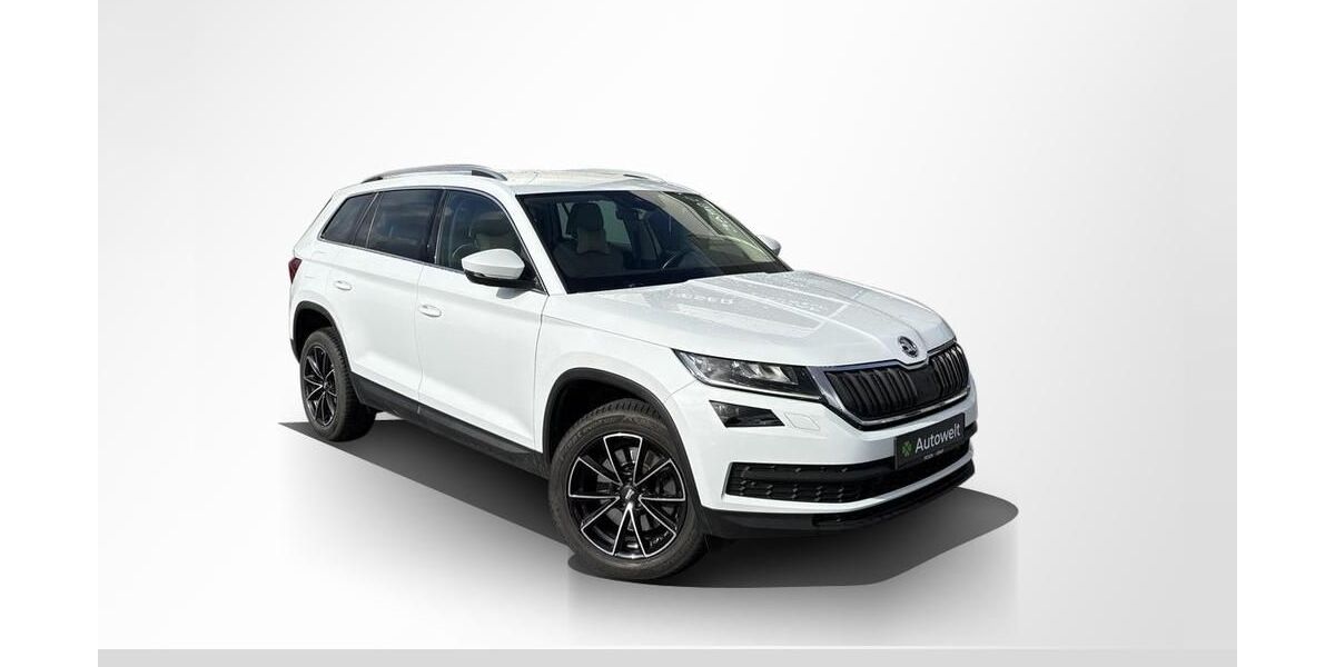 Skoda Kodiaq 107.950 km 24.990 &euro; Roth 91154